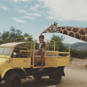 11535796_872678846145502_7346370296197327251_n